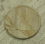 fossil sandstone collectible coasters